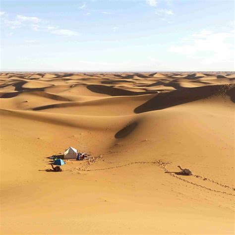Impormasyon tungkol sa sahara desert